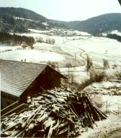geheizt wird mit Bruchholz aus dem Wald