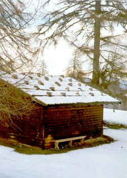 Stall auf dem Salten