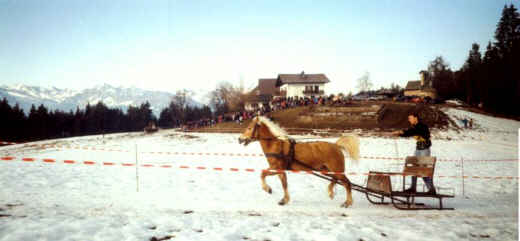 Schlittenrennen in St. Ulrich