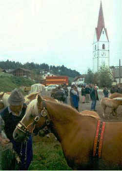 Pferdemarkt in V&ouml;ran