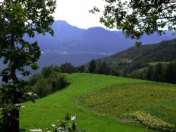 Blick auf Planitz vom Hochstand