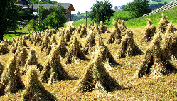 Hocken vor St. Gerogen