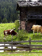 Unterstand f�r das Vieh mit landestypischen Dach